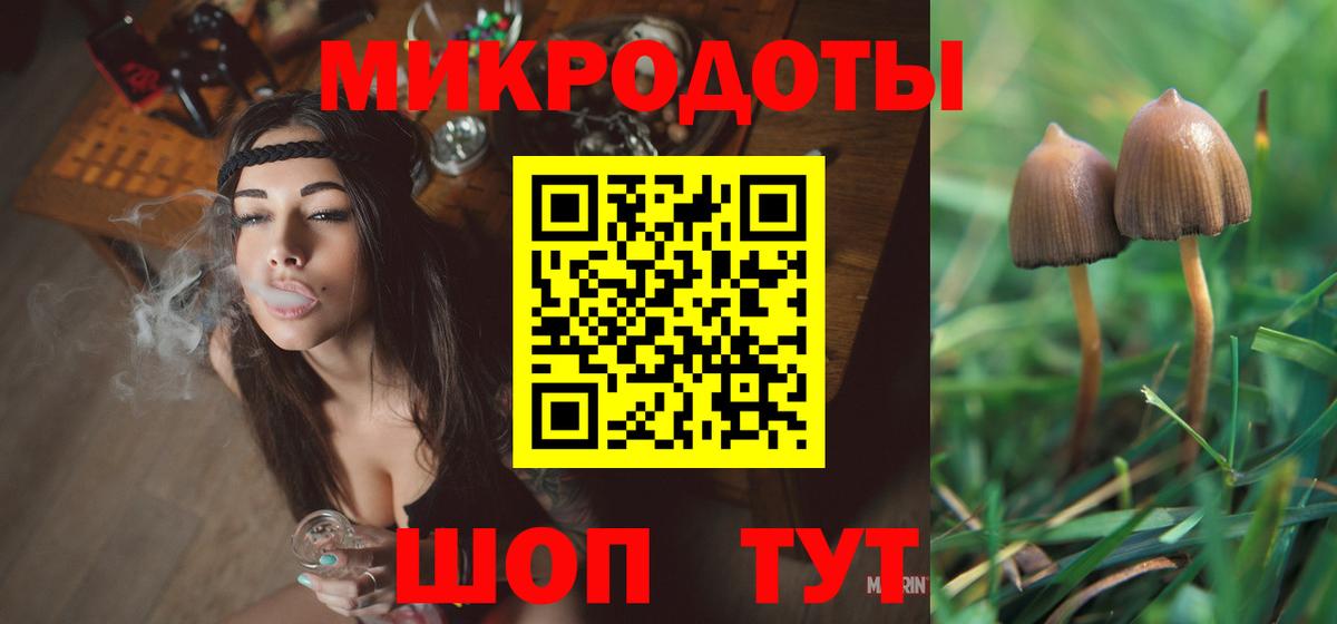 Галлюциногенные грибы Psilocybine cubensis  Вход с VPN  Медногорск 
